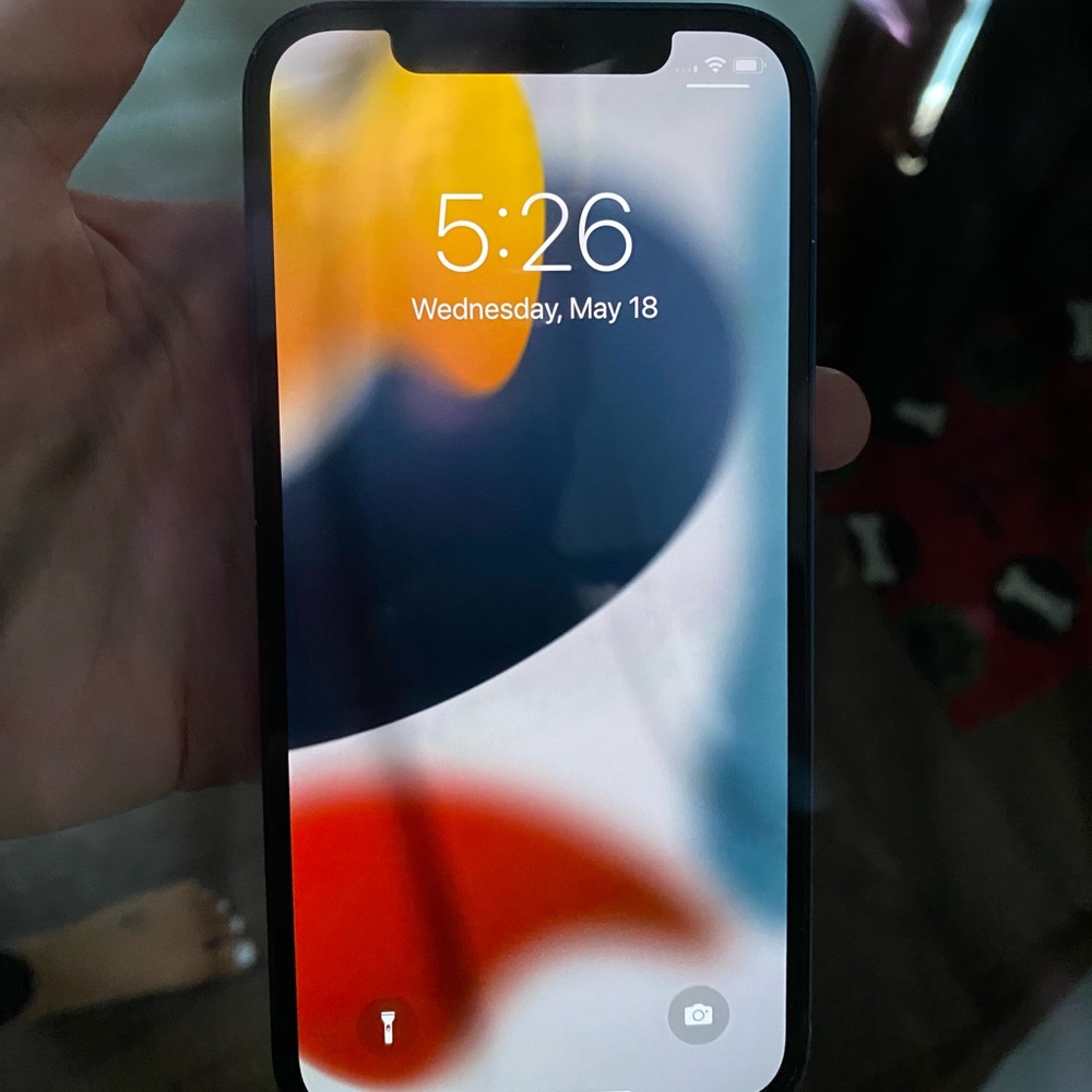 iPhone 12  blue 256 GB